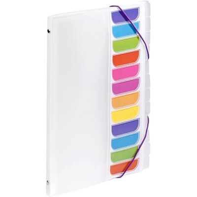 Viquel Trieur 12 compartiments A4 avec index sur le devant Fermeture élastique Incolore Viquel Trieur 12 compartiments A4 avec index sur le devant Fermeture élastique Incolore
