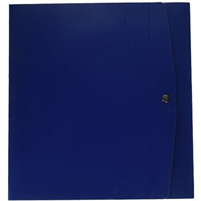 Rexel Lomo 8cm Boîte de rangement Bleu 260 mm 8 cm 36 cm 320 mm 8 mm Rexel Lomo 8cm Boîte de rangement Bleu 260 mm 8 cm 36 cm 320 mm 8 mm