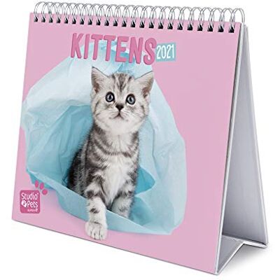 Grupo Erik Erik CS21012 Studio Pets Cats Calendrier de bureau 2021 Grupo Erik Erik CS21012 Studio Pets Cats Calendrier de bureau 2021