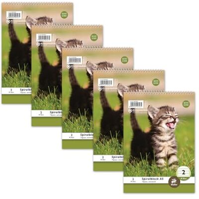 Staufen Style LIN Lot de 2 à 5 blocs de 40 feuilles par bloc, format A5, 70 g/m², ligné (4/4/4 mm) Staufen Style LIN Lot de 2 à 5 blocs de 40 feuilles par bloc, format A5, 70 g/m², ligné (4/4/4 mm)