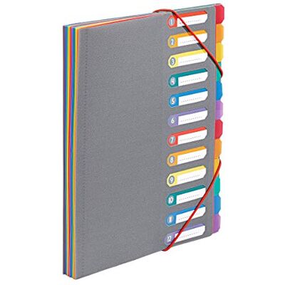 Viquel Trieur Document A4 avec 12 Compartiments Organisateur de bureau extensible Porte document A4 avec index Fermeture par élastique Rainbow Touch Gris Viquel Trieur Document A4 avec 12 Compartiments Organisateur de bureau extensible Porte document A4 avec index Fermeture par élastique Rainbow Touch Gris