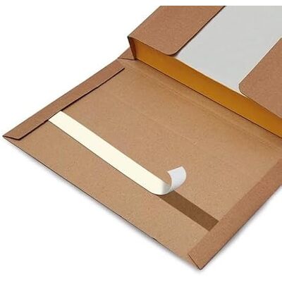 Blasetti Boîte d'expédition Livres Book Box M emballage en carton micro-ondes, lot de 20 unités, idéal pour expédier le livre format B5, dimensions intérieures 27 x 18,5 x 7 cm Blasetti Boîte d'expédition Livres Book Box M emballage en carton micro-ondes, lot de 20 unités, idéal pour expédier le livre format B5, dimensions intérieures 27 x 18,5 x 7 cm