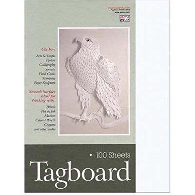 Pacon Panneau d'affichage, blanc, 22,9 x 30,5 cm Pacon Panneau d'affichage, blanc, 22,9 x 30,5 cm