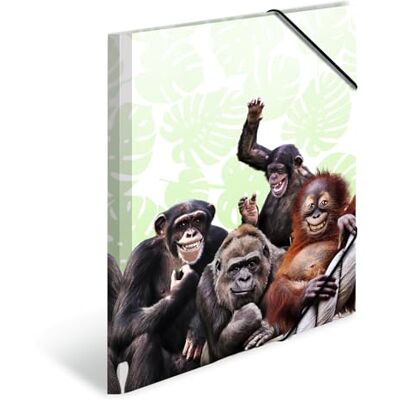 HERMA Classeur A4 singe pour enfant en plastique avec motif animal, élastique, rabat intérieur et impression intérieure pour garçons et filles HERMA Classeur A4 singe pour enfant en plastique avec motif animal, élastique, rabat intérieur et impression intérieure pour garçons et filles