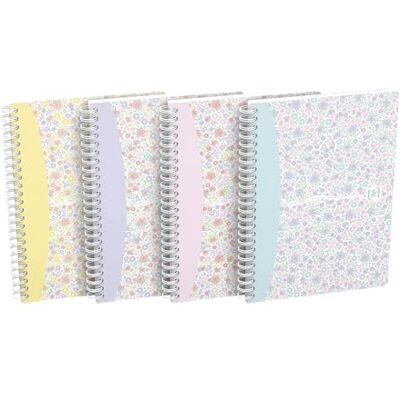 Hamelin Oxford Lot de 5 cahiers à spirales à couverture rigide Format A5 3 motifs assortis Hamelin Oxford Lot de 5 cahiers à spirales à couverture rigide Format A5 3 motifs assortis
