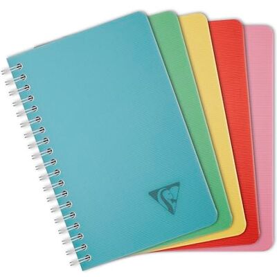 Clairefontaine 327535C Linicolor carnet reliure intégrale 11x17cm 100p Q.5x5 assortiment ESSENCE Clairefontaine 327535C Linicolor carnet reliure intégrale 11x17cm 100p Q.5x5 assortiment ESSENCE