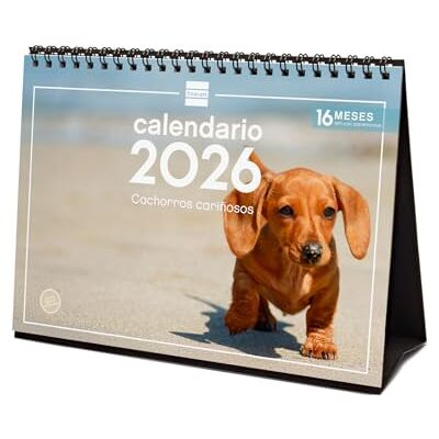 Finocam Calendrier de bureau 2026 mois vue janvier décembre 2026 + septembre 2025 (4 mois) réduits Calendrier 2026 Images chiots Espagnol Finocam Calendrier de bureau 2026 mois vue janvier décembre 2026 + septembre 2025 (4 mois) réduits Calendrier 2026 Images chiots Espagnol