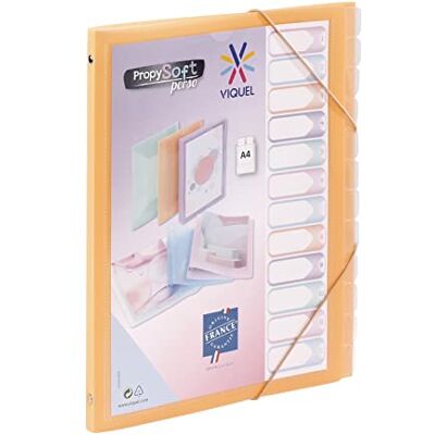Viquel Trieur 12 compartiments A4 personnalisable Propysoft Fermeture élastique Pêche Viquel Trieur 12 compartiments A4 personnalisable Propysoft Fermeture élastique Pêche
