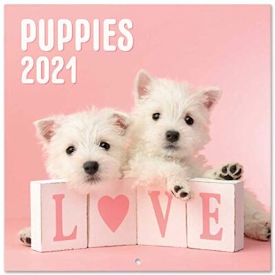 Grupo Erik Calendrier mural 2021 officiel Dog Simon K. & Greg C. 30 x 30 cm (16 mois) Calendrier familial 2021 Grupo Erik Calendrier mural 2021 officiel Dog Simon K. & Greg C. 30 x 30 cm (16 mois) Calendrier familial 2021