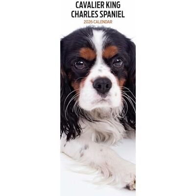 Magnet & Steel Cavalier King Charles Calendrier fin 2026 Magnet & Steel Cavalier King Charles Calendrier fin 2026