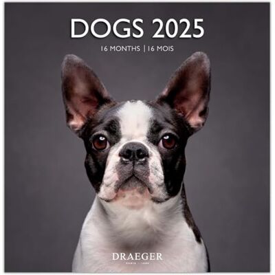 DRAEGER PARIS 1886 PARIS Grand Calendrier Mural 29x29 cm 2025-7 langues Septembre 2024 à décembre 2025-12 photographies disponible dans plusieurs thèmes Chiens Note rendez-vous, anniversaires DRAEGER PARIS 1886 PARIS Grand Calendrier Mural 29x29 cm 2025-7 langues Septembre 2024 à décembre 2025-12 photographies disponible dans plusieurs thèmes Chiens Note rendez-vous, anniversaires