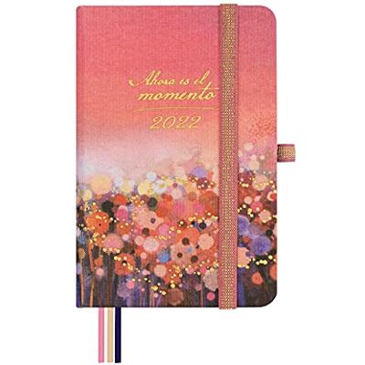 Finocam Flexi Lisa Agenda 2022 Semaine Vue Paysée Octobre 2021 à Décembre 2022 Petit M2 82 x 127 mm Multicolore (Moment) Finocam Flexi Lisa Agenda 2022 Semaine Vue Paysée Octobre 2021 à Décembre 2022 Petit M2 82 x 127 mm Multicolore (Moment)