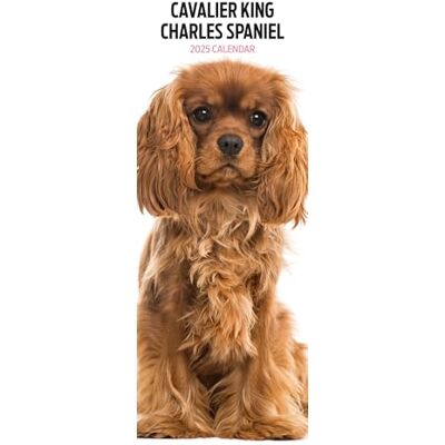 Magnet & Steel Cavalier King Charles Calendrier fin 2025 Magnet & Steel Cavalier King Charles Calendrier fin 2025
