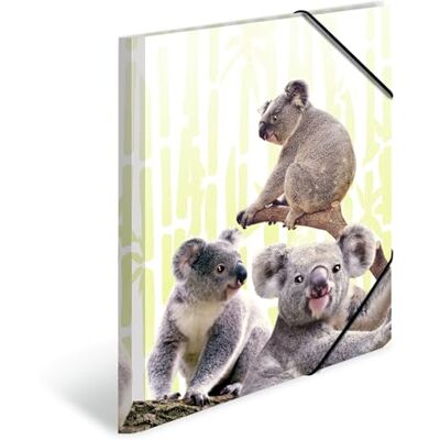 HERMA Koala Lot de 3 chemises de collection A4 pour enfants, en plastique, avec motif animal, élastique, rabat intérieur et impression intérieure, pour garçons et filles HERMA Koala Lot de 3 chemises de collection A4 pour enfants, en plastique, avec motif animal, élastique, rabat intérieur et impression intérieure, pour garçons et filles