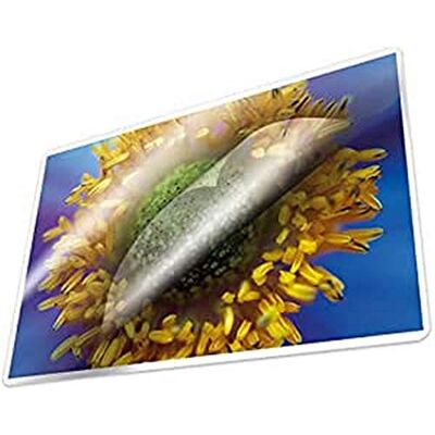 Kangaro Lot de 100 feuilles de plastification A4 216 x 303 mm 100 microns Kangaro Lot de 100 feuilles de plastification A4 216 x 303 mm 100 microns