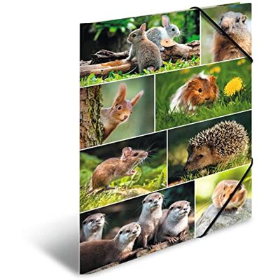 HERMA Classeur A3 rongeurs, pour enfant, en carton, avec motif animal, élastique, rabat intérieur et impression intérieure pour garçons et filles HERMA Classeur A3 rongeurs, pour enfant, en carton, avec motif animal, élastique, rabat intérieur et impression intérieure pour garçons et filles