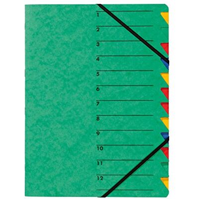 Pagna Easy Trieur à 12 compartiments Vert Format A4 Pagna Easy Trieur à 12 compartiments Vert Format A4