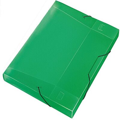 VELOFLEX 4443240 Crystal Boîte de rangement en polypropylène transparent Format A4 avec élastique Vert VELOFLEX 4443240 Crystal Boîte de rangement en polypropylène transparent Format A4 avec élastique Vert