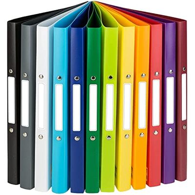 Idena 10426 Lot de 12 classeurs à 2 anneaux Format A4 Largeur 20 mm Idena 10426 Lot de 12 classeurs à 2 anneaux Format A4 Largeur 20 mm