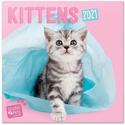 Grupo Erik Calendrier mural 2021 officiel Studio Pets Chatons 30 x 30 cm (16 mois) Calendrier familial 2021 Grupo Erik Calendrier mural 2021 officiel Studio Pets Chatons 30 x 30 cm (16 mois) Calendrier familial 2021