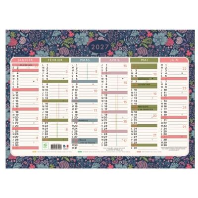 EXACOMPTA Calendrier semestriel Mini Labo Décors recto-verso 43x33,5cm 2027 EXACOMPTA Calendrier semestriel Mini Labo Décors recto-verso 43x33,5cm 2027