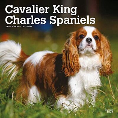 BrownTrout Cavalier King Charles Spaniels 2024 12 x 24 Inch Monthly Square Wall Calendar Animaux Dog Breeds Puppies BrownTrout Cavalier King Charles Spaniels 2024 12 x 24 Inch Monthly Square Wall Calendar Animaux Dog Breeds Puppies