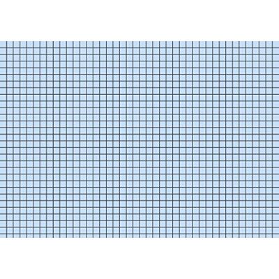 BRUNNEN 102250230 Lot de 100 cartes à carreaux Format A5 Bleu BRUNNEN 102250230 Lot de 100 cartes à carreaux Format A5 Bleu