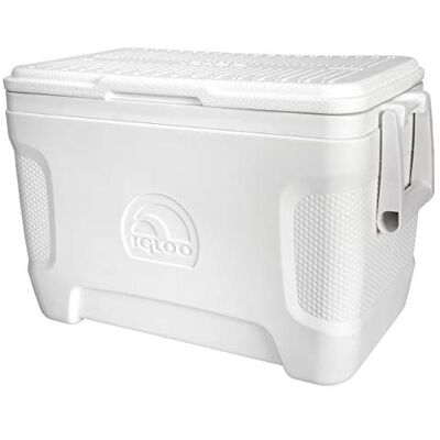 Igloo Glacière de 25 litres Contour marin Igloo Glacière de 25 litres Contour marin