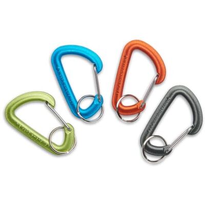 Black Diamond Micron Small – Mini mousqueton pour camping et usage quotidien Black Diamond Micron Small – Mini mousqueton pour camping et usage quotidien