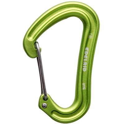 EDELRID Mousqueton Nineteen G II (mousqueton express, mousqueton normal, mousqueton de base) Couleur : Oasis EDELRID Mousqueton Nineteen G II (mousqueton express, mousqueton normal, mousqueton de base) Couleur : Oasis