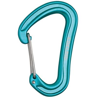 EDELRID Mousqueton Nineteen G II (mousqueton express, mousqueton normal, mousqueton de base), couleur : icemint EDELRID Mousqueton Nineteen G II (mousqueton express, mousqueton normal, mousqueton de base), couleur : icemint