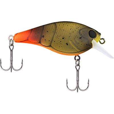 Berkley SquareBull Appât dur de pêche Berkley SquareBull Appât dur de pêche