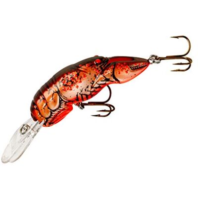Rebel Lures Big Craw Leurre réaliste en forme d’écrevisse pour la pêche, motif Cajun Crawdad, 2,4-3 m de profondeur Rebel Lures Big Craw Leurre réaliste en forme d’écrevisse pour la pêche, motif Cajun Crawdad, 2,4-3 m de profondeur