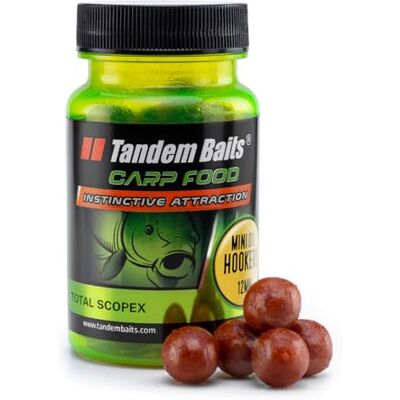 Tandem Baits Carp Food Perfection Mini Oil Hookers Nourriture à la carpe Appât pour la pêche à la carpe et la pêche à la carpe Accessoires pour pêcheurs professionnels et amateurs Tandem Baits Carp Food Perfection Mini Oil Hookers Nourriture à la carpe Appât pour la pêche à la carpe et la pêche à la carpe Accessoires pour pêcheurs professionnels et amateurs