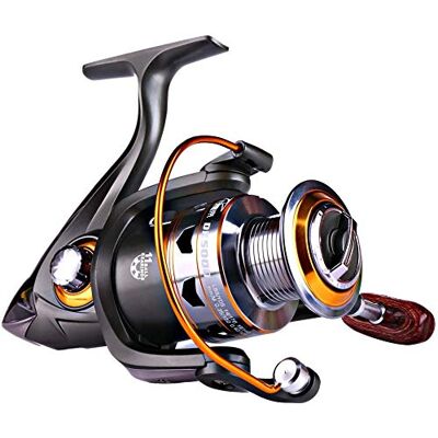 Sougayilang Moulinet de pêche lisse 11BB pour bateau côtier rocher eau douce pêche en eau salée -DK2000 Sougayilang Moulinet de pêche lisse 11BB pour bateau côtier rocher eau douce pêche en eau salée -DK2000