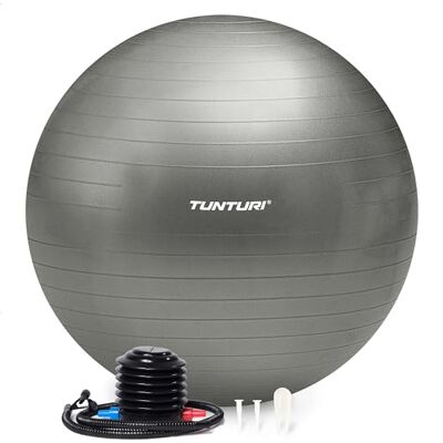 Tunturi Balle de fitness – Ballon suisse – 75 cm – Pompe incluse – Argent Tunturi Balle de fitness – Ballon suisse – 75 cm – Pompe incluse – Argent