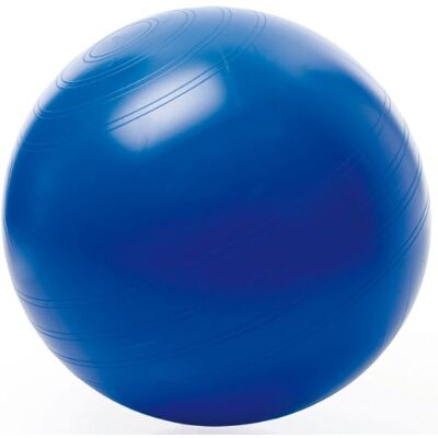 TOGU Balle proprioceptive ABS Couleur: Bleu/Lilas TOGU Balle proprioceptive ABS Couleur: Bleu/Lilas