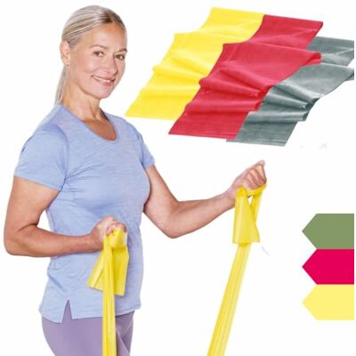Theraband Lot de 1,50 m Bande de fitness Bande de gymnastique Bande extensible pour entraînement complet du corps Bande de résistance Bandes d'entraînement pour la maison Accessoires de Theraband Lot de 1,50 m Bande de fitness Bande de gymnastique Bande extensible pour entraînement complet du corps Bande de résistance Bandes d'entraînement pour la maison Accessoires de