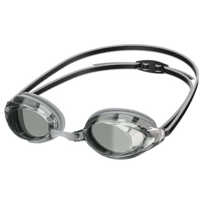 Speedo Vanquisher 2.0 Lunettes de natation effet miroir Argenté Anti-buée Speedo Vanquisher 2.0 Lunettes de natation effet miroir Argenté Anti-buée