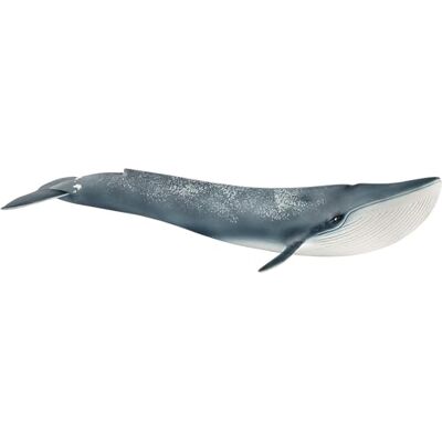 Schleich WILD LIFE Baleine bleue 14806 11 x 27 x 6 cm Figurine à partir de 3 ans figurines d’animaux réalistes figurine animale détaillée cadeau pour garçons et filles Schleich WILD LIFE Baleine bleue 14806 11 x 27 x 6 cm Figurine à partir de 3 ans figurines d’animaux réalistes figurine animale détaillée cadeau pour garçons et filles