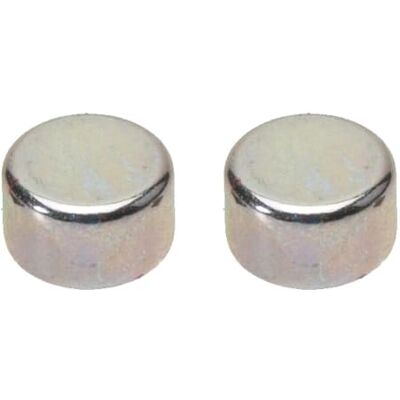 Faller 163221 Lot de 2 aimants supplémentaires H0 Multicolore Faller 163221 Lot de 2 aimants supplémentaires H0 Multicolore