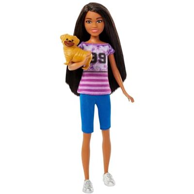 Barbie and Stacie to the Rescue HRM06 Poupée Ligaya Chiot avec des cheveux foncés Barbie and Stacie to the Rescue HRM06 Poupée Ligaya Chiot avec des cheveux foncés