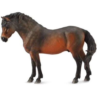 Collecta Dartmoor Pony Bay Figurine d'animal réaliste à collectionner pour jeu imaginatif, cadeau pour enfants à partir de 3 ans Collecta Dartmoor Pony Bay Figurine d'animal réaliste à collectionner pour jeu imaginatif, cadeau pour enfants à partir de 3 ans