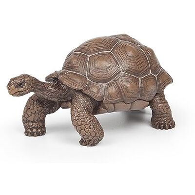Papo Figurines A Collectionner Tortue Des Galapagos Animaux Sauvages Convient Aux Enfants Filles Et Garçons A Partir De 3 Ans Papo Figurines A Collectionner Tortue Des Galapagos Animaux Sauvages Convient Aux Enfants Filles Et Garçons A Partir De 3 Ans