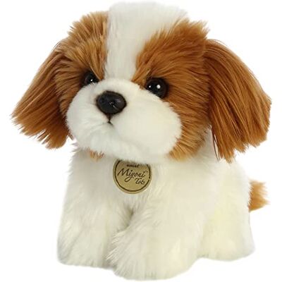 Aurora 11" Shih TZU PUP Aurora 11" Shih TZU PUP