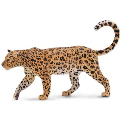Collecta 88866 Léopard Africain Jouet animal réaliste, figurine d'animal à collectionner pour jeu imaginatif, cadeau pour enfants à partir de 3 ans Collecta 88866 Léopard Africain Jouet animal réaliste, figurine d'animal à collectionner pour jeu imaginatif, cadeau pour enfants à partir de 3 ans