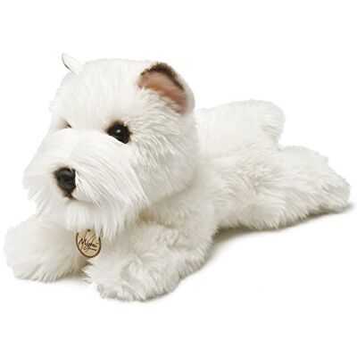 Aurora Chien animal, 13127, MiYoni Westie, 20 cm, peluche, blanc, 20 cm Aurora Chien animal, 13127, MiYoni Westie, 20 cm, peluche, blanc, 20 cm