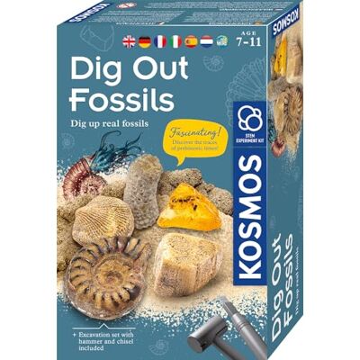 Kosmos Fossilien INT: Experimentierkasten Kosmos Fossilien INT: Experimentierkasten