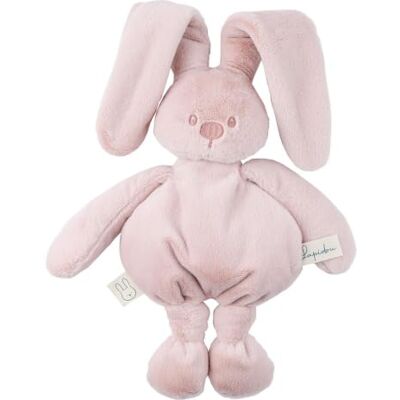 Nattou Lapidou Doudou 30 cm Doudou bébé Équipement de première naissance Premier équipement nouveau-né Cadeau de naissance pour garçon & fille Newborn Baby Essentials Rose poudré Nattou Lapidou Doudou 30 cm Doudou bébé Équipement de première naissance Premier équipement nouveau-né Cadeau de naissance pour garçon & fille Newborn Baby Essentials Rose poudré