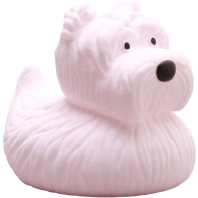 Duckshop Canards de bain animaux anglais (canard de bain Westie) Duckshop Canards de bain animaux anglais (canard de bain Westie)